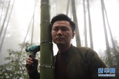 <b>贵州榕江：竹酒“种”出致富路</b>