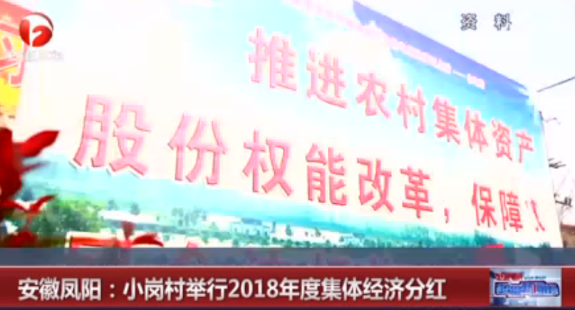 安徽凤阳小岗村举行2018年度集体经济分红