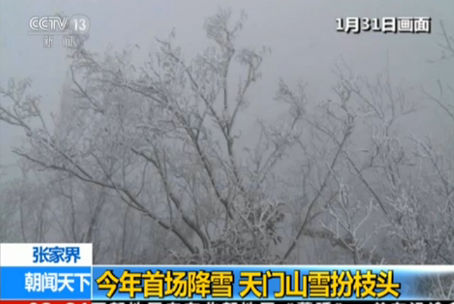 张家界：今年首场降雪 天门山雪扮枝头