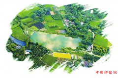 <b>成都市郫都区：让乡村振兴的“战旗”高高飘扬</b>