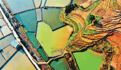 <b>在重庆金兰坝 寻梦小桃源</b>