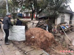 安徽罗河镇：积极开展节后农村环境整治工作