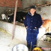 <b>邹孔银：养牛走上富裕路</b>