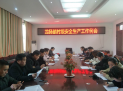 <b>安徽龙扬：召开村级安全生产工作例会</b>