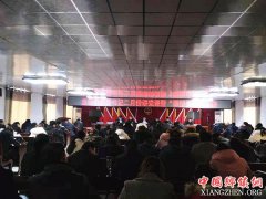 <b>安徽龙扬：党委书记讲党课，乡村振兴展宏图</b>