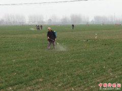 <b>大地春回田管忙</b>