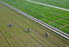 春回大地农事忙