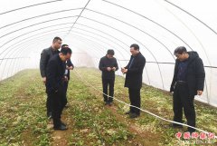 陕西：华州区杏林镇把基层一线作为考验干部作风和能力的赛马场