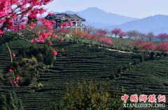 迎接两会丨乡村振兴好风景