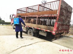 陕西：杏林镇持续开展非洲猪瘟防控工作