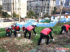 安徽：义安区五松镇环境卫生专项整治掀热潮