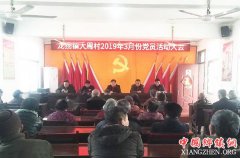 安徽龙扬开展三月份党员活动日
