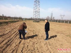 <b>陕西莲花寺镇：第一书记田间地头忙指导   贫困群众花椒产业园里忙补栽</b>