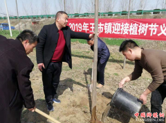 安徽：王市镇积极开展植树节义务植树活动