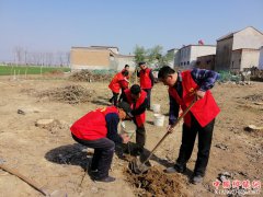 安徽：埇桥区汴河街道党员志愿者积极参与义务植树增绿活动