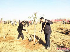 <b>陕西华州区杏林镇：开展义务植树活动</b>