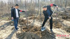 栽下一棵树   增添一抹绿   收获无限希望