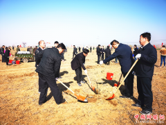 种下石榴树，收获幸福果