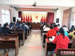 陕西杏林镇： 党的先进理论优秀学习笔记展评