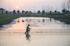 <b>螃蟹养殖成江苏海安白甸镇官垛村农民增收特色产业</b>