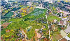 画里乡村 春意盎然（礼赞70年）