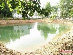 <b>安徽：大营镇“四精准”推进水利工作再上新台阶</b>