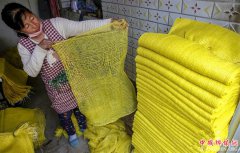 <b>河北饶阳：网袋“编织”留守妇女致富路</b>