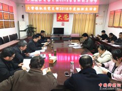 安徽：大营镇机关支部召开2018年度组织生活会暨民主评议党员大会