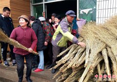 郯城房一村：众参与环境治理200把扫帚送村民