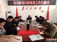 陕西莲花寺镇：召开2019年度第六次中心组学习暨扫黑除恶专项整治工作汇报会