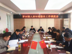 安徽：“五清一改”为罗河镇人居环境整治“充满电”