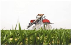 <b>农业将成中国经济发展新引擎</b>