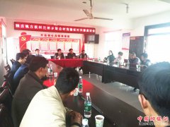 安徽怀远县魏庄镇方坝村与兰桥乡联合村开展党建结对共建活动