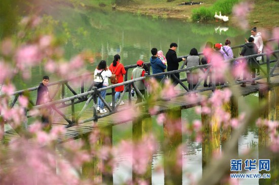 #（社会）（5）湖南湘西：赶“桃花会”享春光