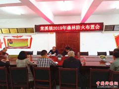 安徽：棠溪镇多措并举 做好清明期间森林防火工作