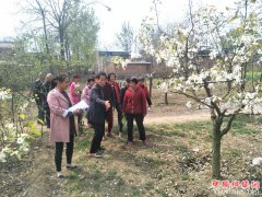 陕西莲花寺镇少华村：邀请果树专家来到田间地头进行栽培技术培训