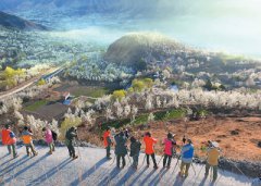 四川金川：正是梨花好时节