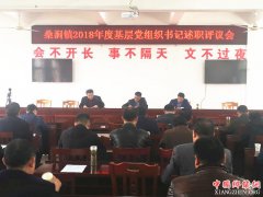 安徽定远：桑涧镇举行2018年度基层党组织书记述职评议