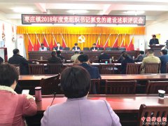 安徽：枣庄镇召开2018年度党组织书记抓党的建设述职评议会