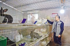 从贫困户到致富典型 他只用了1年(图)