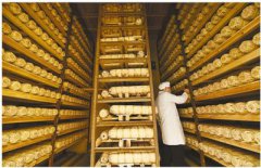 贵州铜仁：茶叶飘香