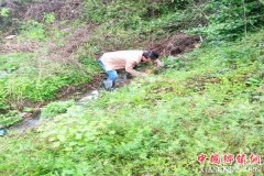 安徽棠溪镇：全民查螺灭螺 严防血吸虫病发生