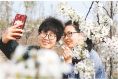 山东滨州：农旅融合助增收