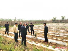 陕西华州区莲花寺镇南寨村：召开软弱涣散村整顿工作对接会