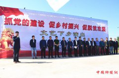 安徽颍东区枣庄镇杨寨村党建远教文化广场启动揭牌仪式