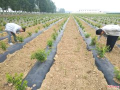 <b>陕西华州区莲花寺镇：产业园内交流取经  助力壮大集体经济</b>