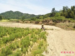 吴一根：自力更生走上脱贫致富路