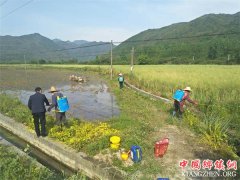 安徽：棠溪镇三字诀，做好春季灭螺工作