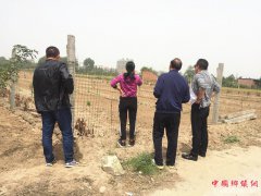 <b>陕西华州区莲花寺镇西寨村：葡萄产业园初见成效</b>