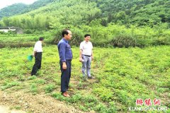 <b>安徽贵池棠溪镇：严把“三关”精准推进2019年财政专项扶贫资金项目验收工作</b>